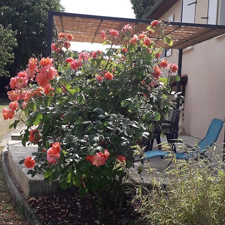 Bed and Breakfast La Salamandre De Chazelles 16 Exterior foto